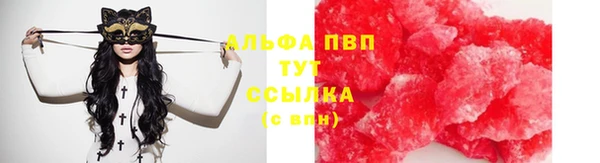 молекула духа Иннополис