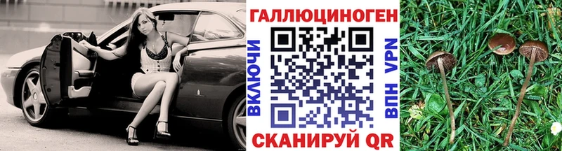 Галлюциногенные грибы Psilocybine cubensis  хочу наркоту  Сосногорск 
